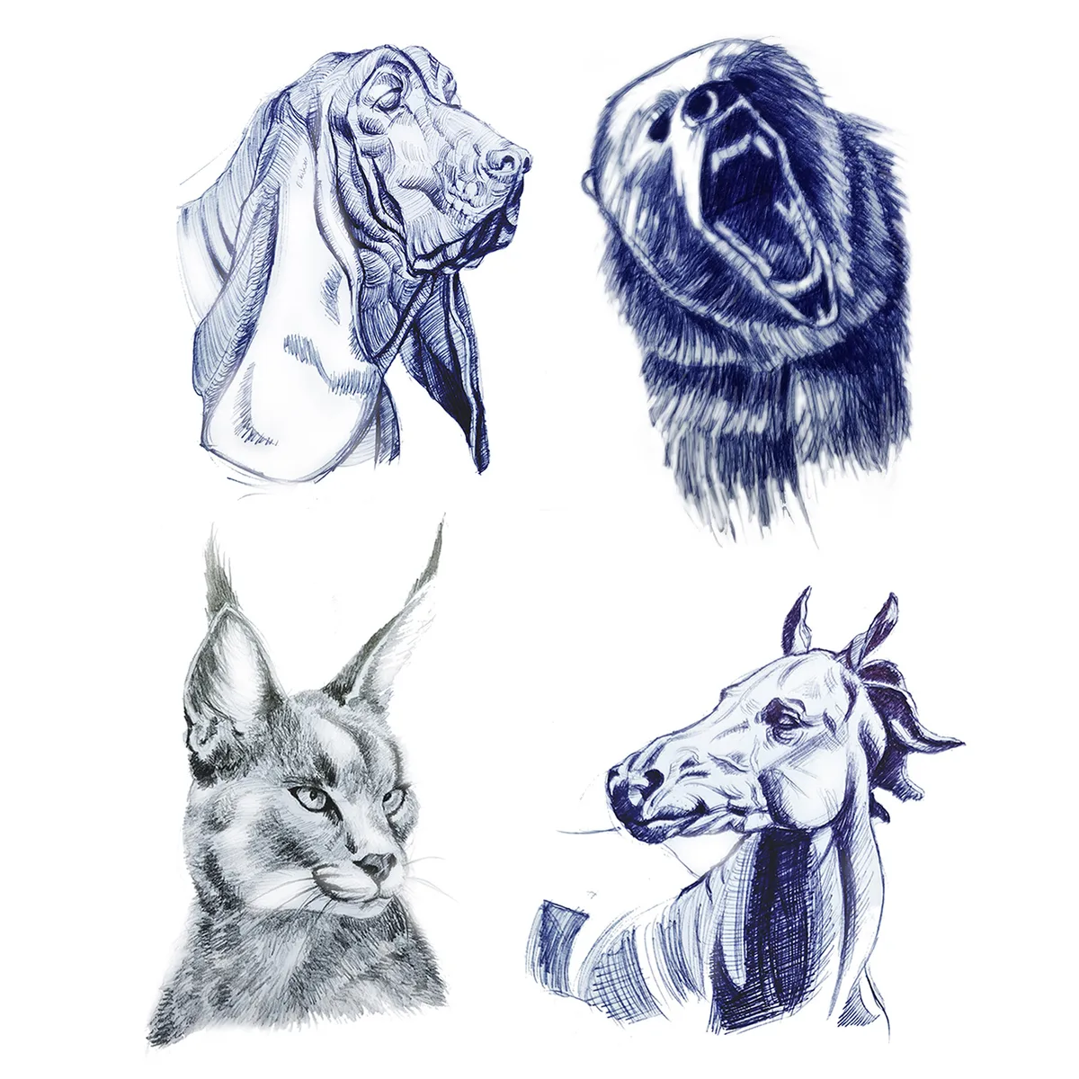 Animal Drawing - 2022