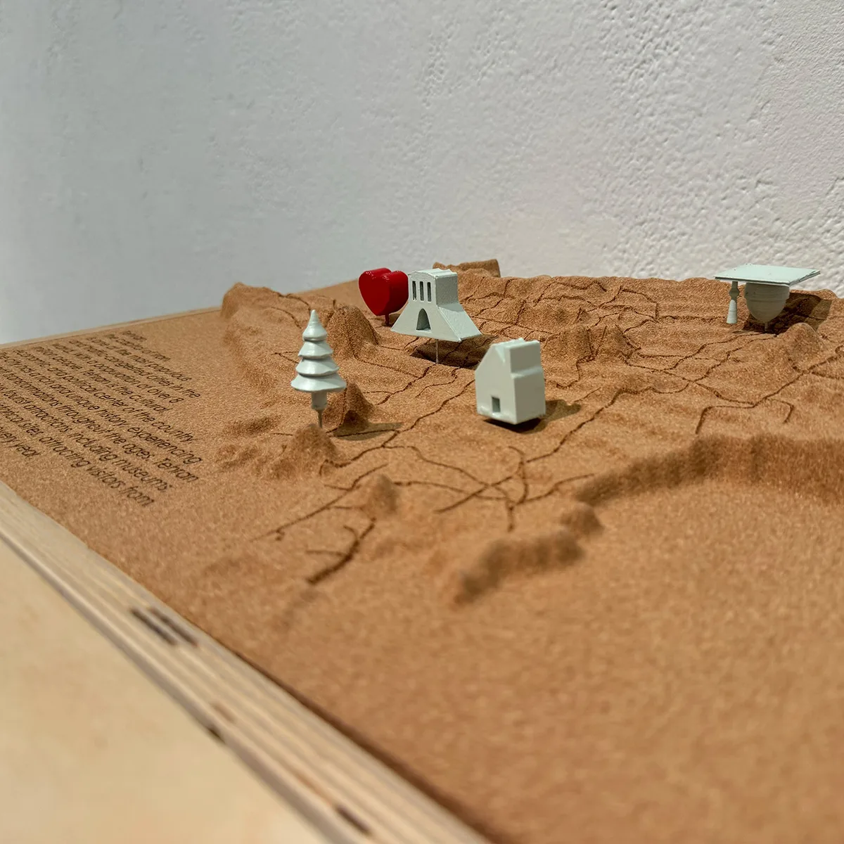 MEMORY BOARD