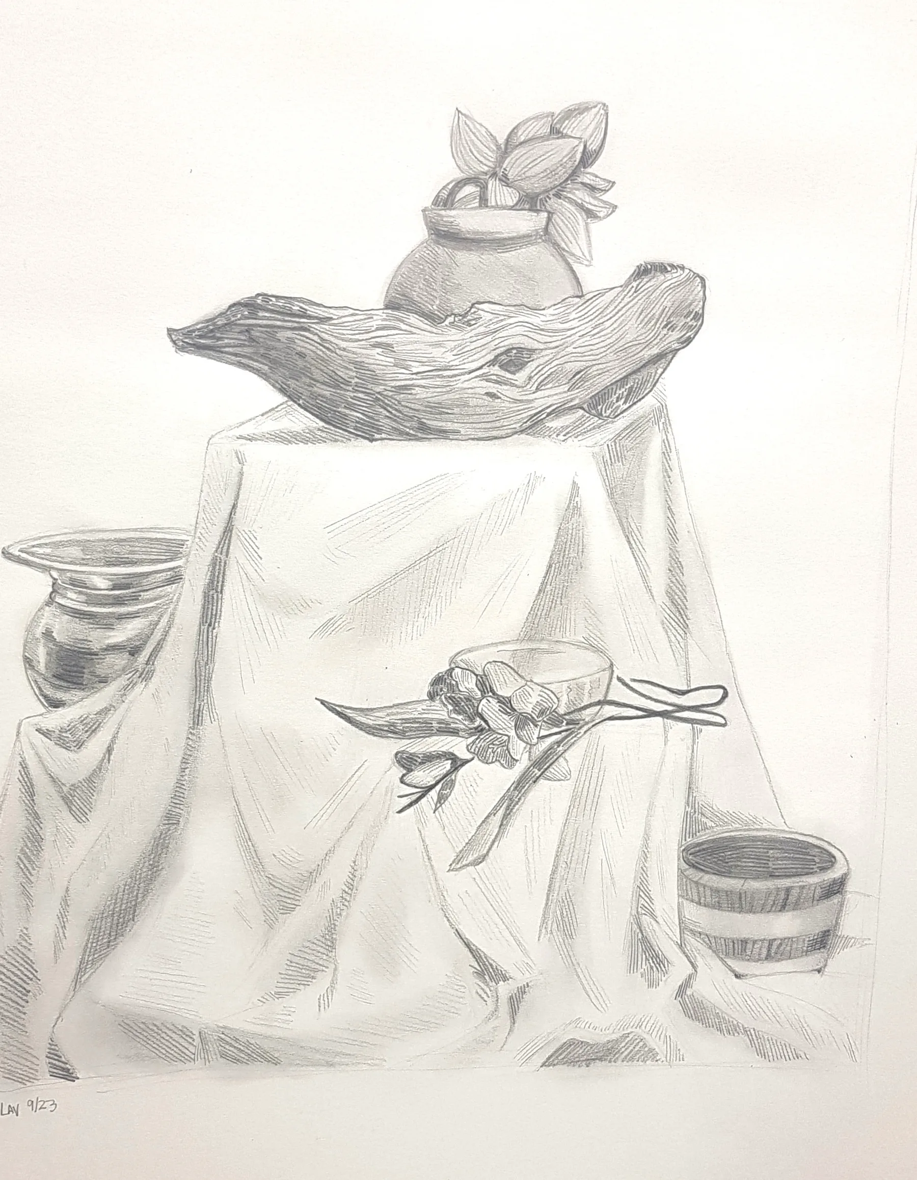 Project 01 — STILL LIFE DRAWING