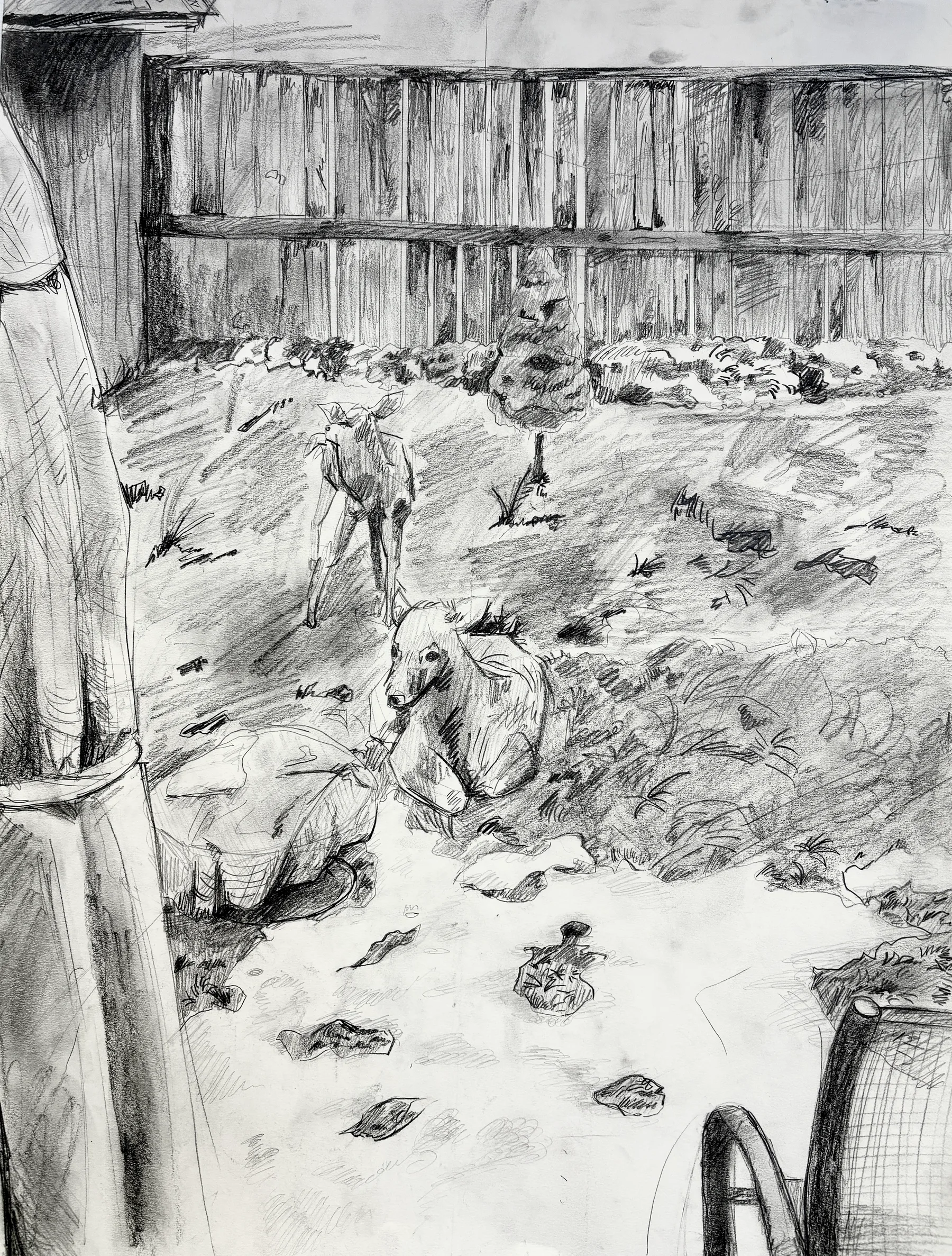 Project 03 — STORYTELLING DRAWING